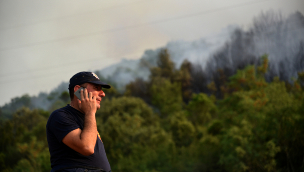OGROMAN POŽAR U CRNOJ GORI Vatra guta sve pred sobom (VIDEO)