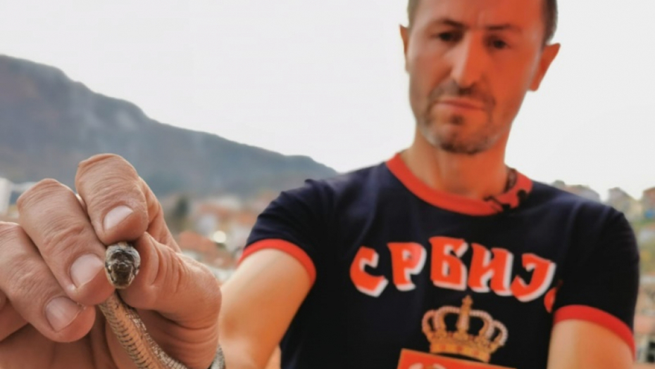 NE ZNA ZA STRAH Dok Užičani panično dozivaju pomoć, Arsenije zmije hvata golim rukama: OVO uradite kada vidite gmizavca!