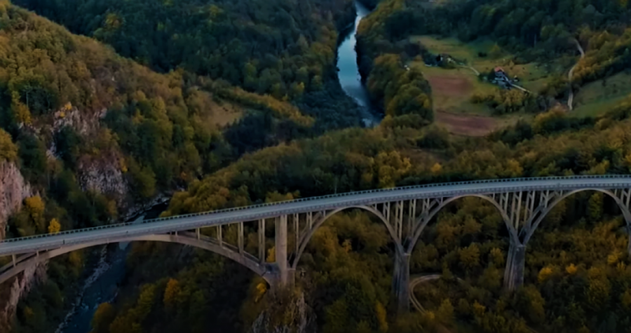DRUGARICA SE POTRESNIM REČIMA OPROSTILA OD MILICE 
