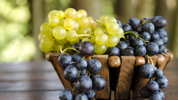 ZRNO KOJE ČUVA ZDRAVLJE Saznajte da li je zdravije crno ili belo grožđe