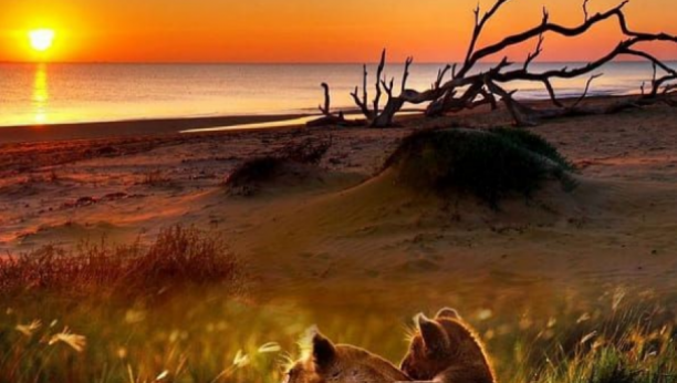 HOROSKOP ZA SUBOTU, 25. SEPTEMBAR: Ovna čeka veliko iznenađenje, Vodoliju haos na polju ljubavi, Ribama pada teret sa srca