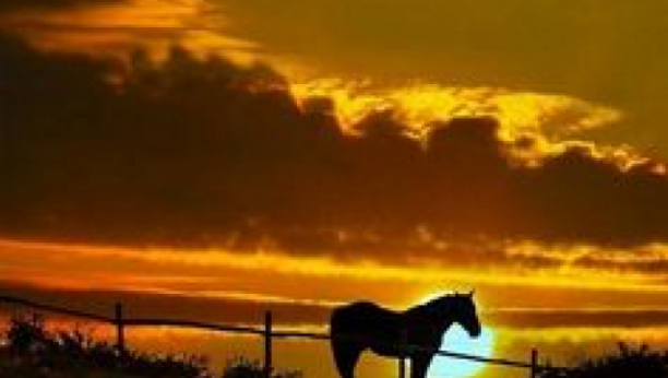 HOROSKOP ZA UTORAK, 17. AVGUST: Lavove prati sreća, Ovnovima se situacija na poslu komplikuje, a Bikovima se vraća stara ljubav