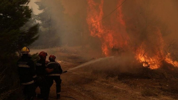 POŽAR U NACIONALNOM PARKU Vatra zahvatila pet hektara u Petrovu, vatrogasci na terenu
