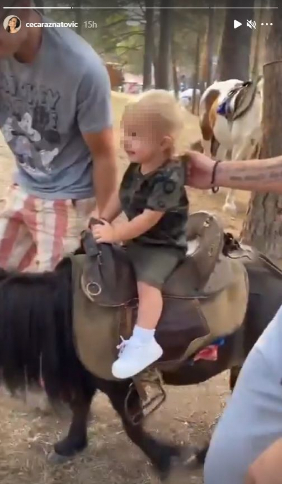 MORAĆEMO DA MU KUPIMO KONJA Cecin unuk jaše ponija i uživa, a evo šta radi Veljko