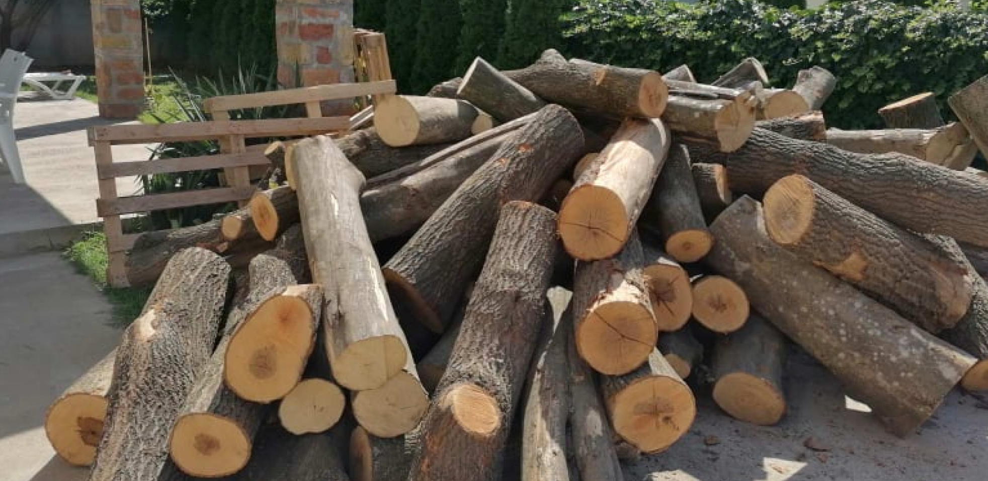 BRUKA I SRAMOTA Lopovi pred kamerama ukrali drva za ogrev iz dve škole u Vranju!