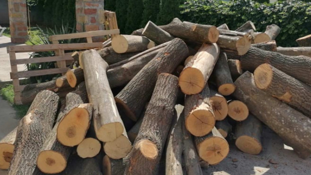 BRUKA I SRAMOTA Lopovi pred kamerama ukrali drva za ogrev iz dve škole u Vranju!