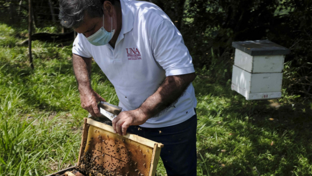 VAŽNO OBAVEŠTENJE ZA PČELARE Ograničite let pčela u NAVEDENOM periodu