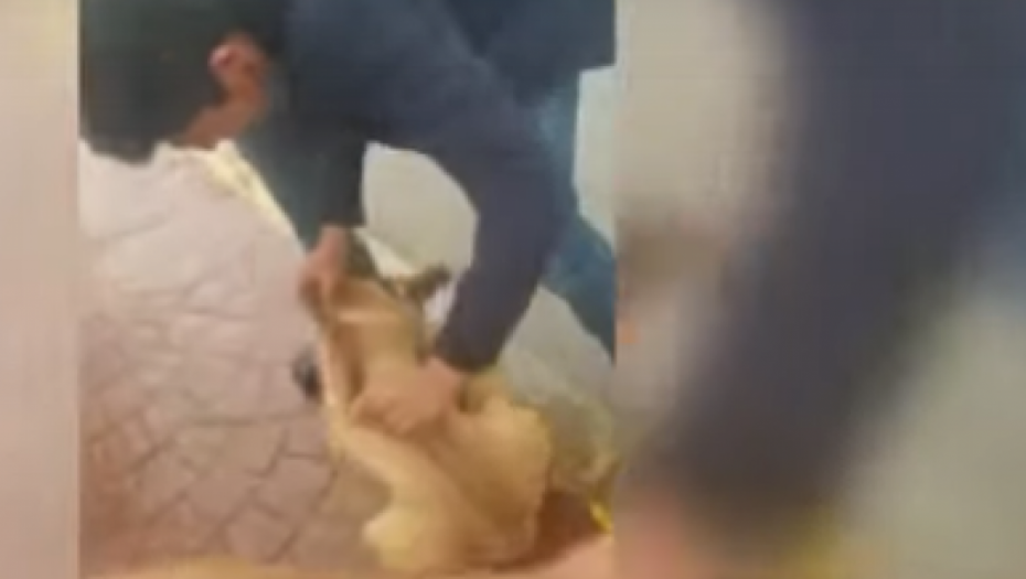 OVO ZLO JE ZGROZILO SVET Muškarac hladnokrvno bacio psa u SMRT, njegov prijatelj tek zapanjio reakcijom(VIDEO)