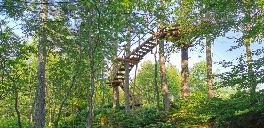 DEO SRPSKE ISTORIJE I DALJE VIDILJIV Karađorđe ivanjičkim krajem prošao samo jednom i osvojio veliku teritoriju (FOTO)