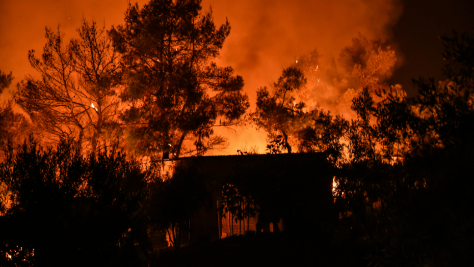 JEZIVI  BILANS Evo koliko šume je izgorelo na Eviji