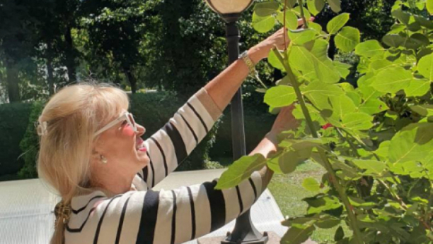 RESTORANI, KUĆE I STANOVI ŠIROM BALKANA Najbogatija pevačica na estradi pliva u novcu, a za jednim žali