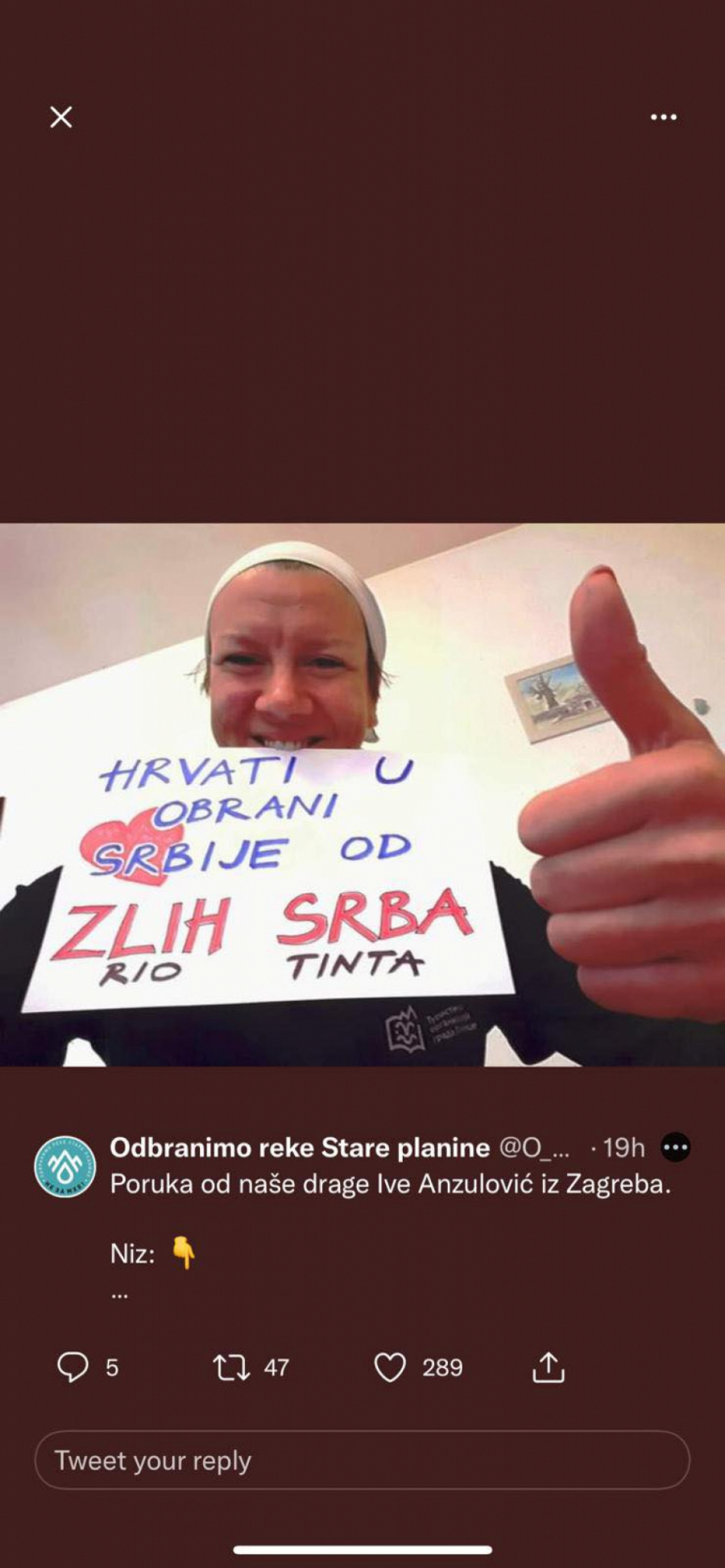 Hrvati dolaze u Beograd da brane Srbiju od zlih Srba?!