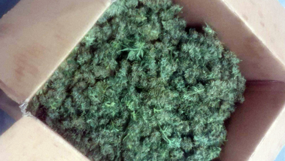 PRONAĐENA DROGA U VOZILU MAKEDONSKE POLICIJE Objašnjenje službenika zvuči apsolutno neverovatno