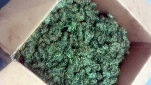 PRONAĐENA DROGA U VOZILU MAKEDONSKE POLICIJE Objašnjenje službenika zvuči apsolutno neverovatno