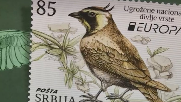 STEPSKI SOKO DO POBEDE! Srpska poštanska markica se takmiči za najlepšu u evropi! GLASAJTE! (VIDEO)