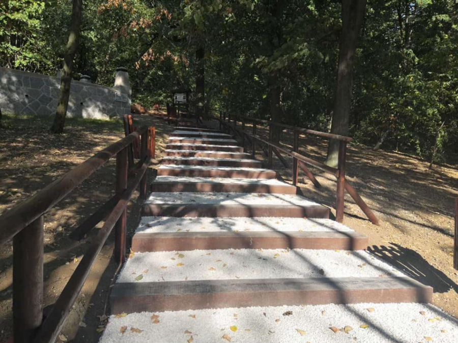 GORAN VESIĆ NA MESTU UBISTVA KNEZA MIHAILA Beograd se sa ponosom seća svojih vladara!