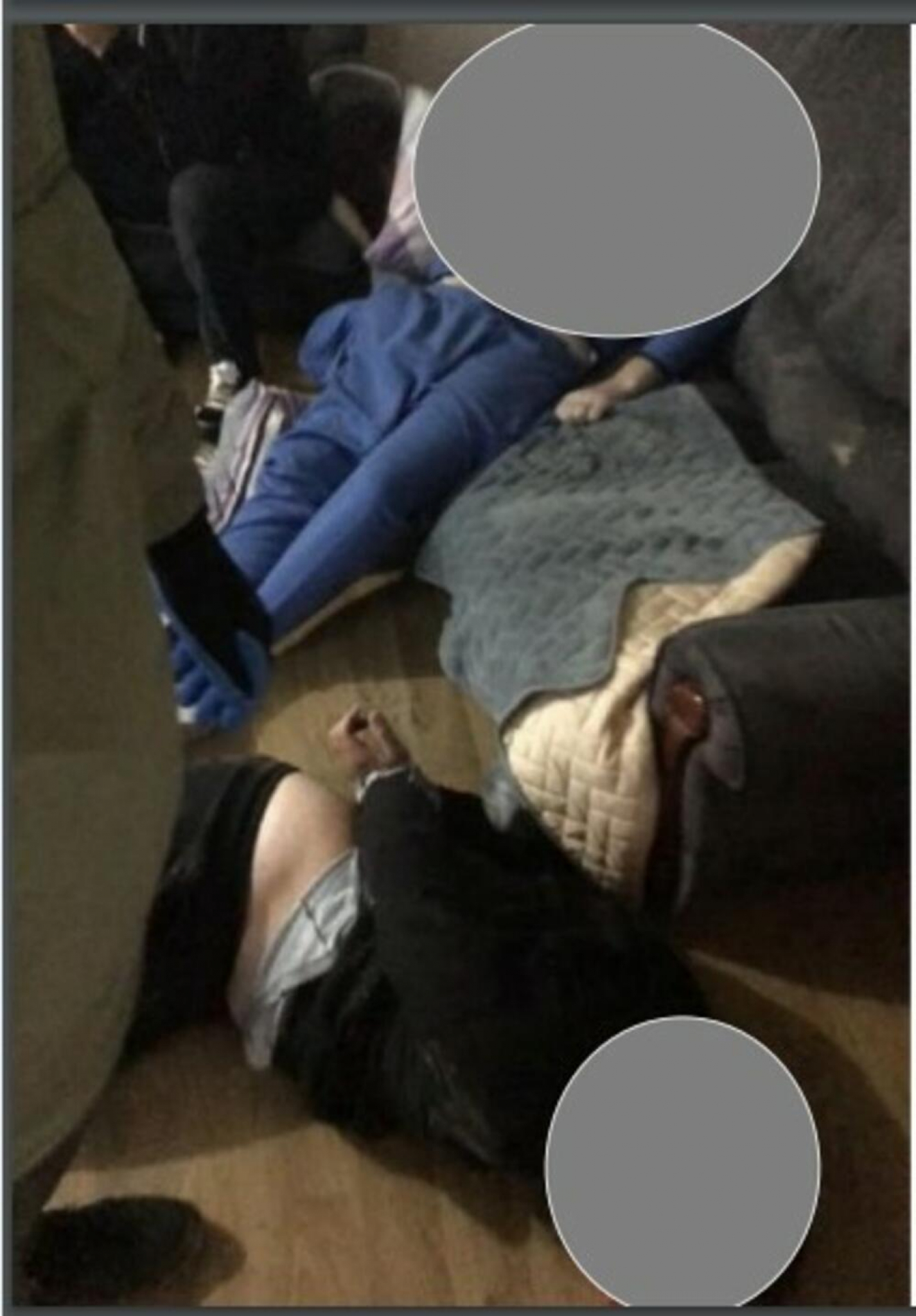 DOSIJE MOLER Crnogorsko tužilaštvo sumnjiči Belivuka za likvidaciju škaljarca Damira Hodžića