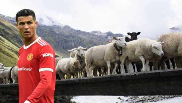 RONALDO POTPUNO POLUDEO OD MUKE! Portugalac se seli iz vile od 6.000.000 evra ZBOG OVACA! (FOTO)