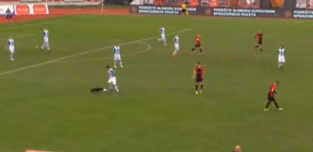 NESTVARNA SCENA U BOSNI! Pas "zamenio" fudbalera, ušao na teren pa protivnicima dva puta provukao loptu kroz noge! (VIDEO)