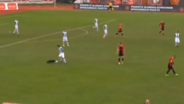 NESTVARNA SCENA U BOSNI! Pas "zamenio" fudbalera, ušao na teren pa protivnicima dva puta provukao loptu kroz noge! (VIDEO)