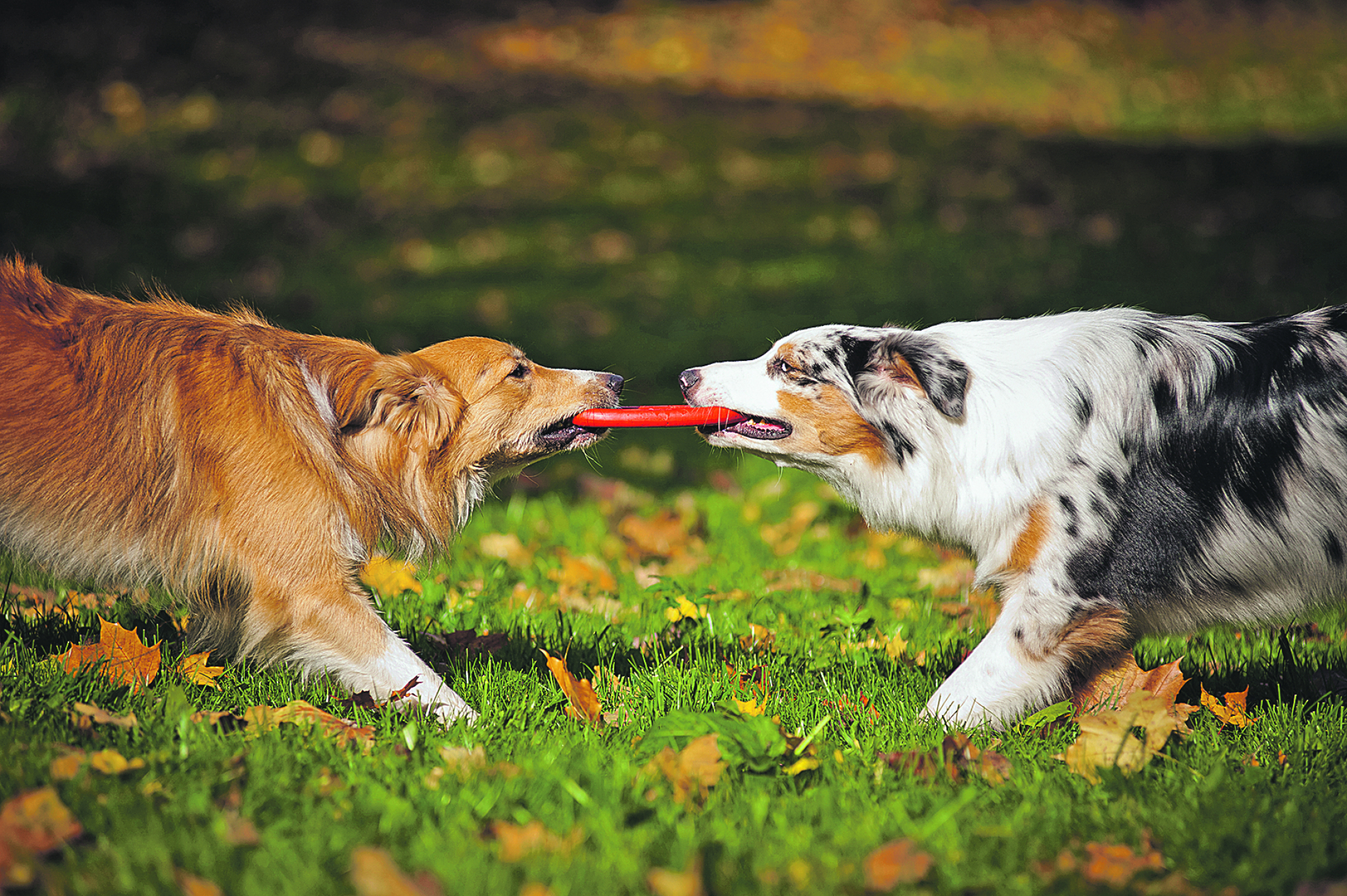 BIZNIS U KOJI SE ISPLATI ULOŽITI Ako razmišljate o novom poslu, ovaj je pravi za vas, tek je na usponu i donosi mnogo novca