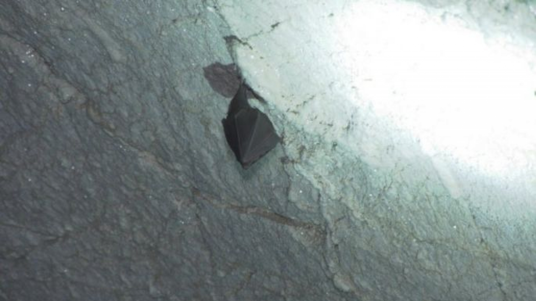 PEĆINA ČIJA LEPOTA ODUZIMA DAH U njoj se krije čudesna voda, ko je popije brzo će stati na ludi kamen!