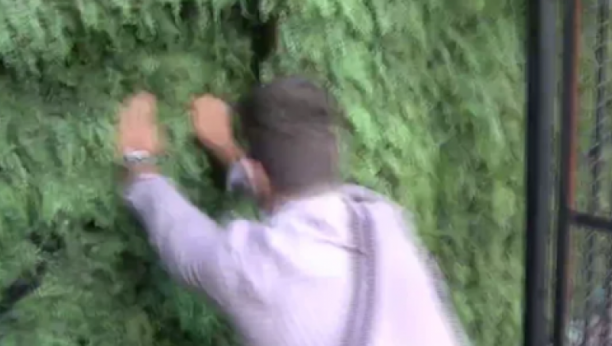 STEFAN POKUŠAVA DA POBEGNE IZ ZADRUGE 5 Lomi sve pred sobom!