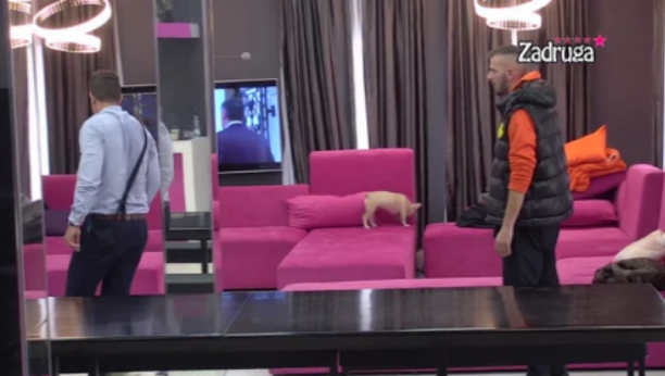 OBEZBEĐENJE ULETELO MOMENTALNO! Stefan i Mc Damiro u žestokom klinču, Mihić se zaleteo na cimera!