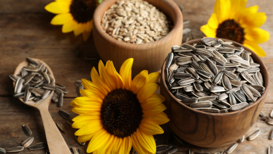 Riznica zdravlja: Evo zašto treba da jedete semenke suncokreta svaki dan!