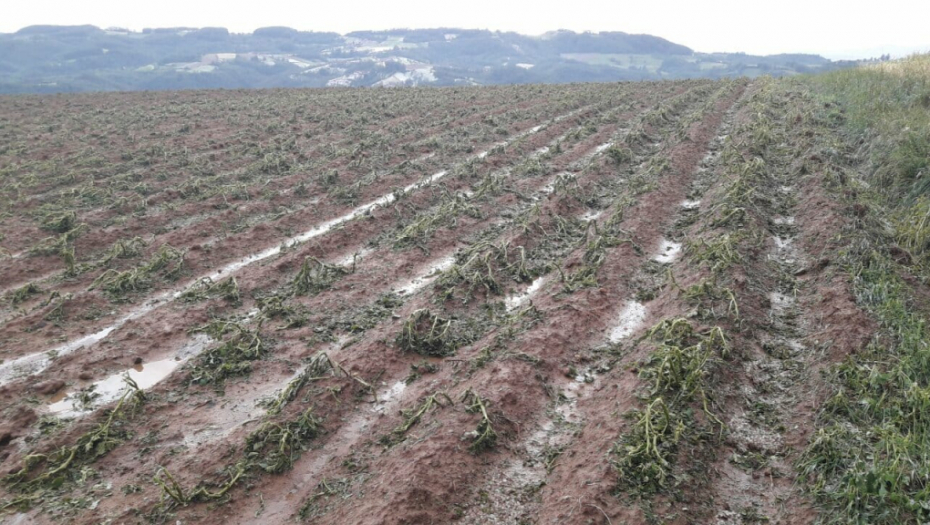 U SRBIJI OSIGURANO SVEGA 15 ODSTO POVRŠINA KOJE SE OBRAĐUJU: Osiguranje za poljoprivrednike misaona imenica