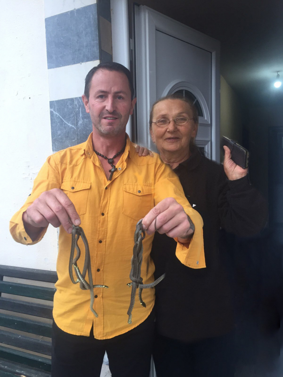 DRAMA U UŽICU U sobi baka Mire uhvaćeno čak devet zmija, pukom srećom niko nije nastradao