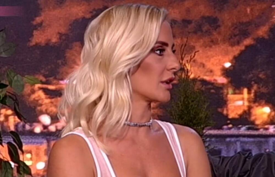 ZEZNULA SAM SE ŠTO NIJE BILO NEŠTO VIŠE Milica Dabović priznala da je luda za Novicom Veličkovićem, pa se izvinjavala njegovoj ženi!