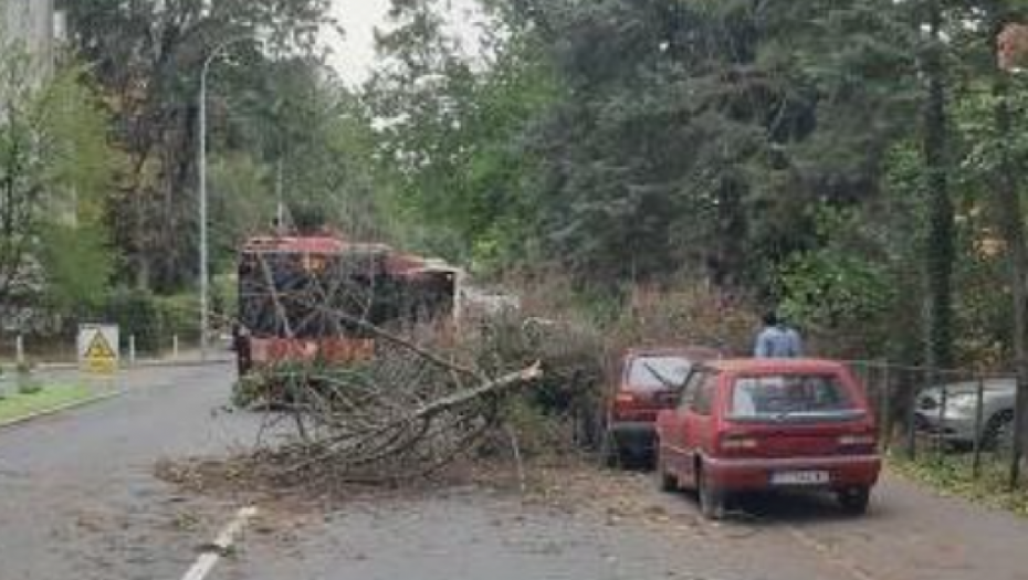 HAOS NA PETLOVOM BRDU Stablo palo na autobus na liniji 56
