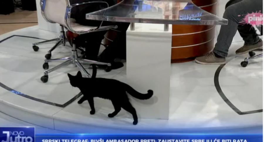 NEZVANI GOST U JUTARNJEM PROGRAMU Svi je zabezeknuto gledali, Sarapa prvi uzviknuo: Otkud ti ovde?!