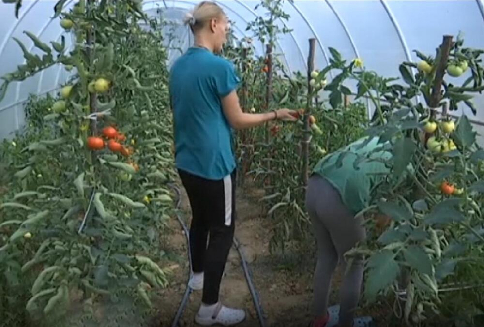 ZAVOLELA KOSMET KAO SVOJ DOM Mađarica iz okoline Pančeva udala se za Žiku i rodila petoro dece!