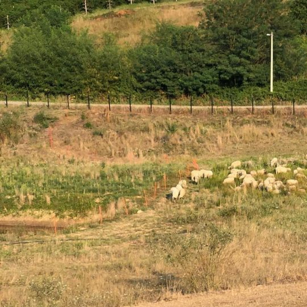 ČEKA JEDNOG ČOVEKA DA NJENOM SINU DA IME Marija Petronijević i dalje u bolnici, a otkrila da nema ni ideju kako će nazvati dete!