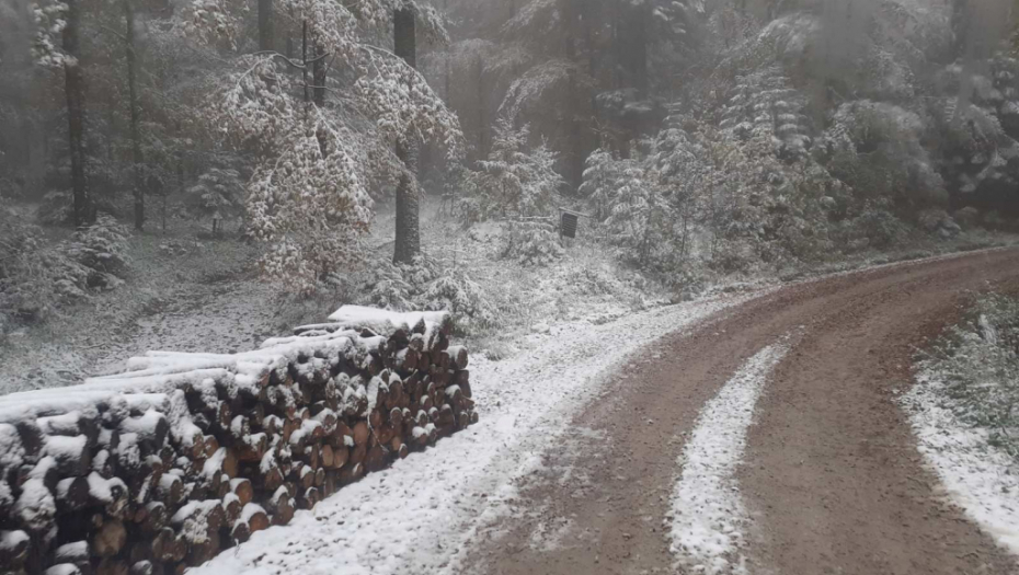 ZIMA VEĆ POKAZALA ZUBE, A NIJE NI POLOVINA OKTOBRA Sneg satima veje na Tari, zabeleli se lokalni putevi (FOTO)