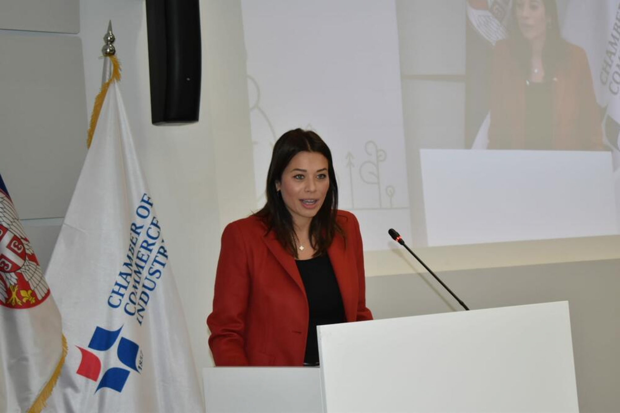 Vujović: Posvećeni smo ideji održivog razvoja i zelenoj tranziciji