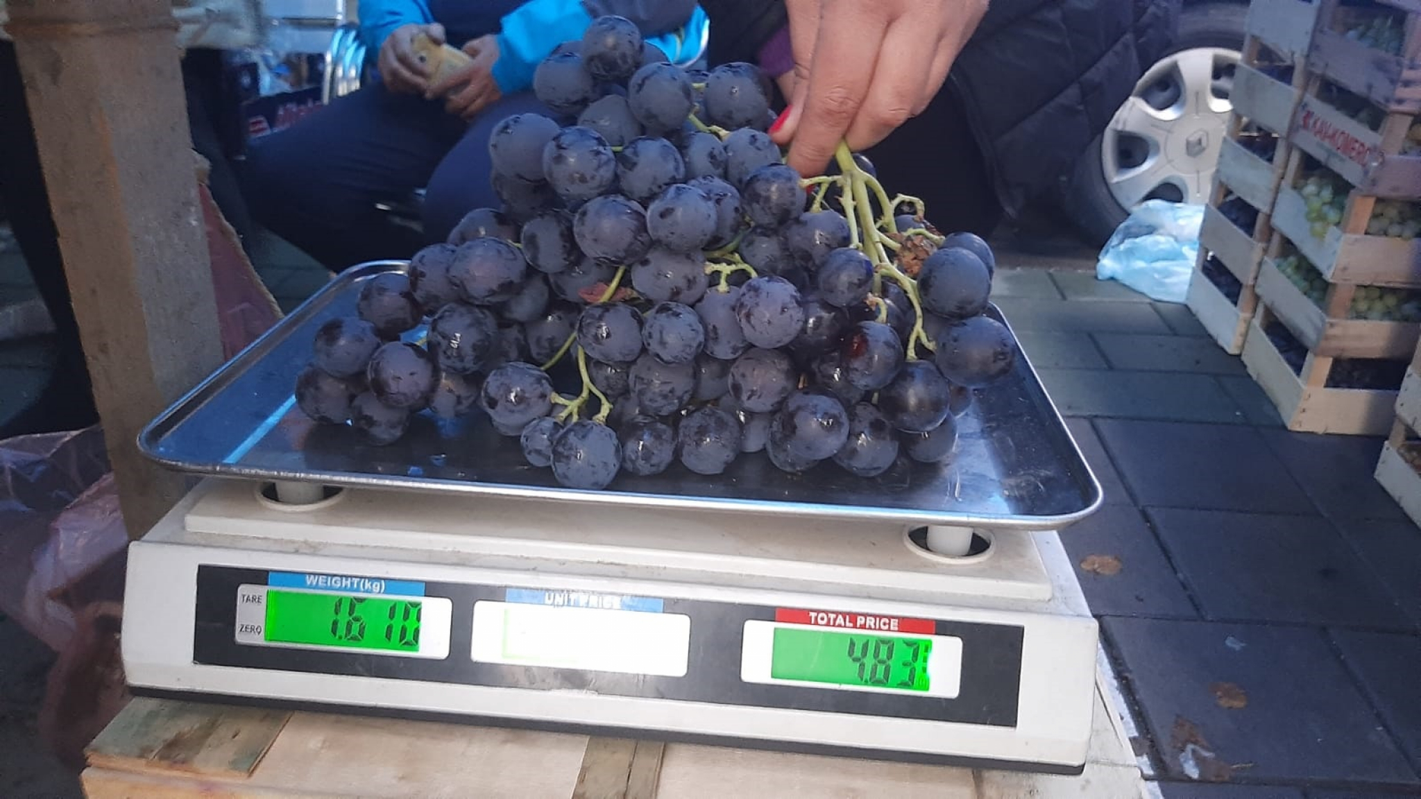 NJIHOVO GROŽĐE JE TRI PUTA VEĆE OD PROSEKA Glišići obaraju sve rekorde, jedan plod teži skoro 2 kilograma (FOTO)