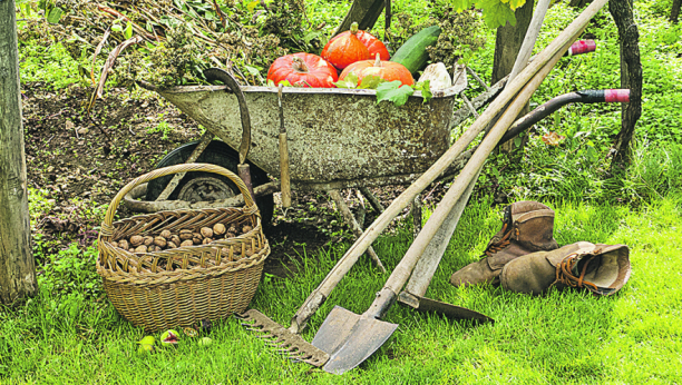 VODIČ ZA BAŠTENSKE JESENJE RADOVE Ima bitnih sitnica koje sada treba uraditi kako bi vaš vrt na proleće zasijao u punom sjaju