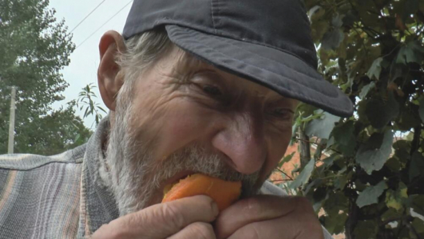 ČIČA MILUTIN IZ OSEČINE SVETSKI FENOMEN Buđava i ustajala hrana ne mogu ništa njegovom želucu, a za dezert obožava trule voćke!