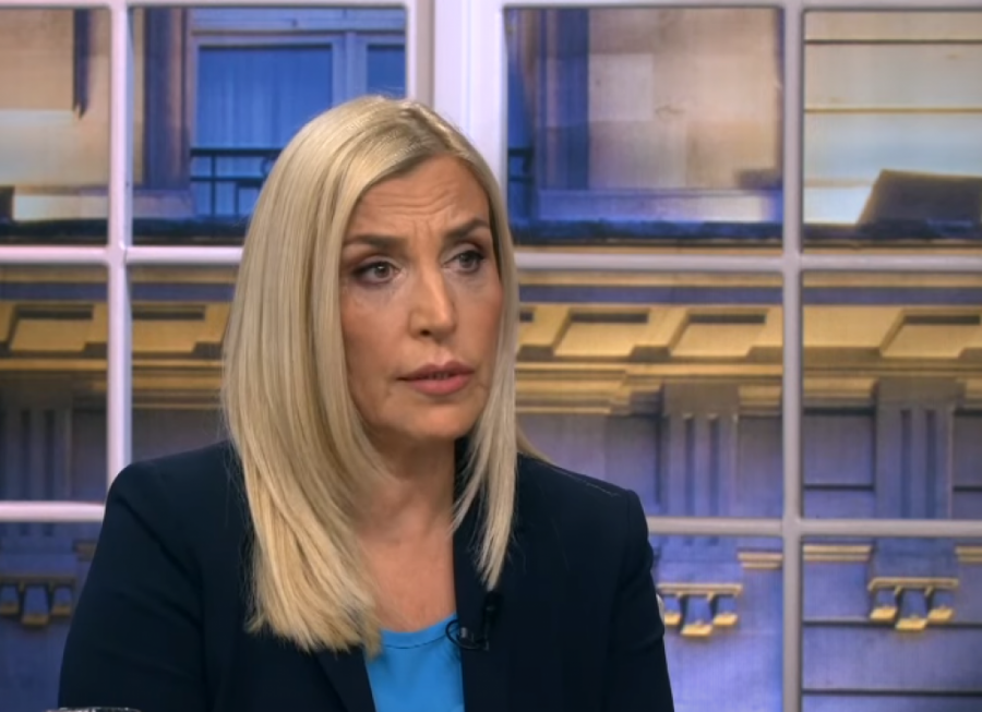 ŠTA TAČNO ZNAČI PROMENA USTAVA Večeras se raspisuje referendum, evo šta može da se promeni