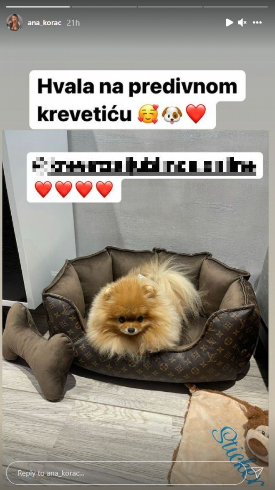 SAMO BRENDIRANE STVARI! Pas Ane Korać uživa u luksuzu, pogledajte šta mu je sad obezbedila!