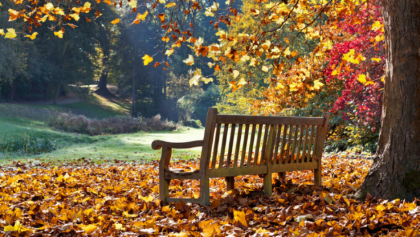 VELIKI NEDELJNI HOROSKOP Ovan pravi propuste na poslu, kod Raka naglašeno polje inostranstva, Lavu se vraća bivša ljubav