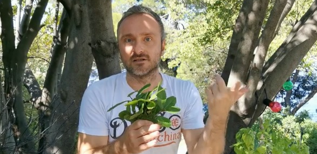 TRAVAR MOMČILO UPOZORAVA: Nije svaki beli luk zdrav, ovo su 4 znaka da su vam "uvalili" otrov