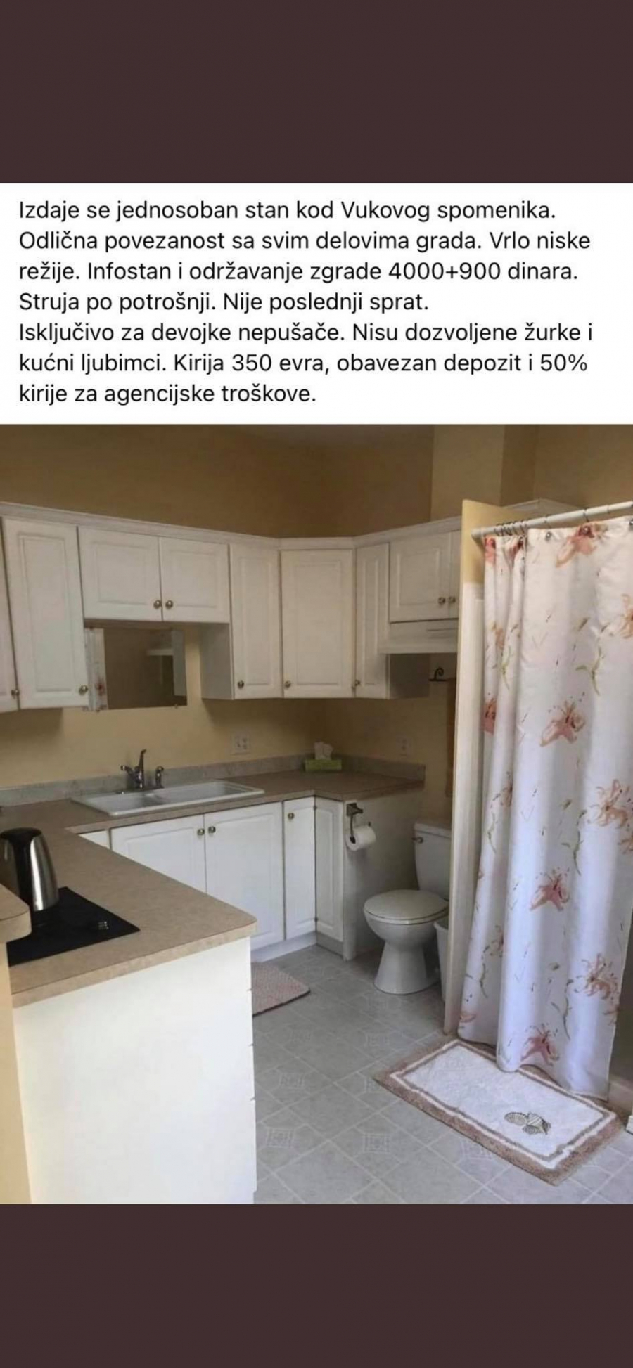 STAN KOD VUKOVOG SPOMENIKA IZAZVAO GAĐENJE Pogledajte šta se izdaje za 350 evra