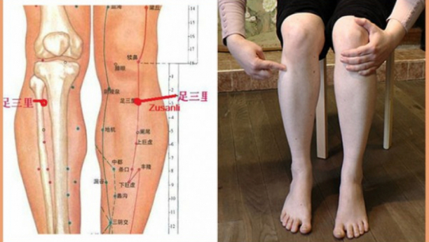 MAGIČNA „TAČKA STOTINU BOLESTI“ NALAZI SE ODMAH ISPOD KOLENA:  Ako je ovako masirate, poboljšaćete rad svih organa i usporiti starenja