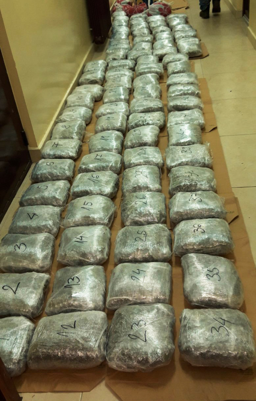 VELIKA ZAPLENA MARIHUANE Policija u Prijepolju pronašla više od 90 kilograma droge