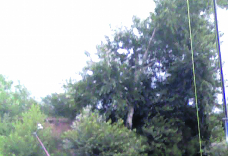 DŽONIĆ PATOLOŠKI LAŽOV Osumnjičeni za ubistvo porodice Đokić iz Aleksinca ne bira sredstva da se izvuče iz zločina