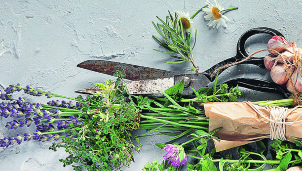 SLAVIMO SVETOG APOSTOLA Danas u kuću unesite venac od ruzmarina, a evo i zašto